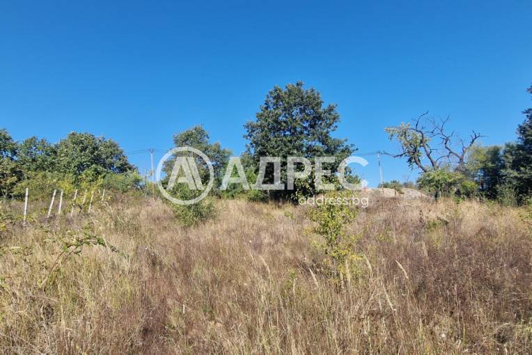 Парцел/Терен, Варна, с. Звездица, 677967, Снимка 1