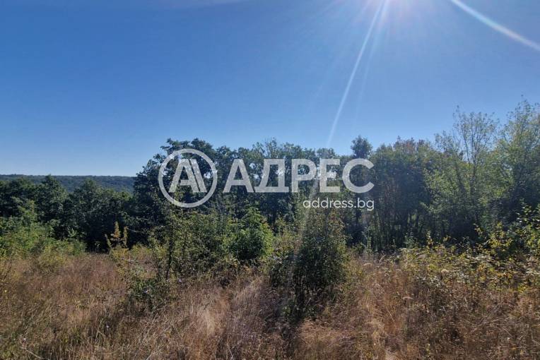 Парцел/Терен, Варна, с. Звездица, 677967, Снимка 2