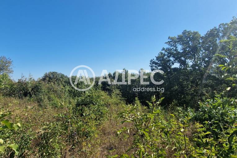 Парцел/Терен, Варна, с. Звездица, 677967, Снимка 4