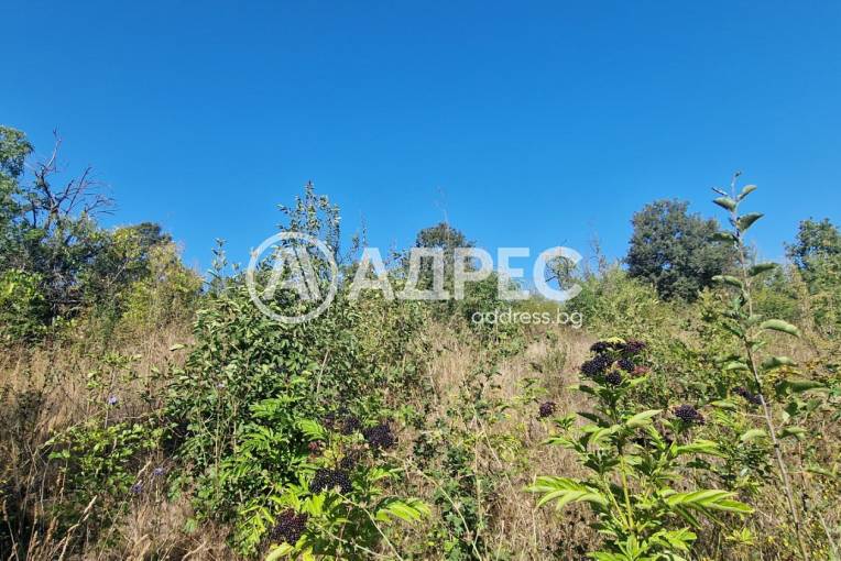 Парцел/Терен, Варна, с. Звездица, 677967, Снимка 6