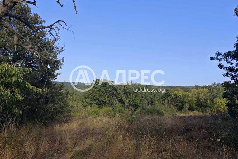 Парцел/Терен, Варна, с. Звездица, 677967, Снимка 8
