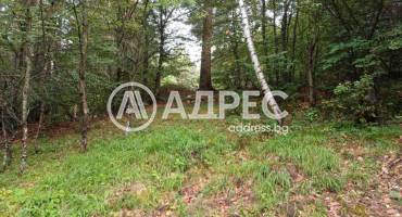 Парцел/Терен, Бойково, 652970, Снимка 2
