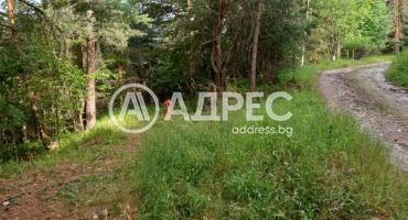 Парцел/Терен, Бойково, 652970, Снимка 3