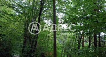 Парцел/Терен, Бойково, 652970, Снимка 5