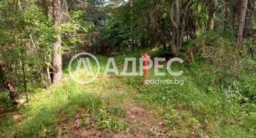 Парцел/Терен, Бойково, 652970, Снимка 6