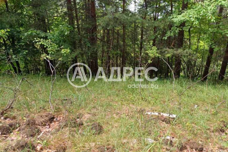 Парцел/Терен, Бойково, 652970, Снимка 1