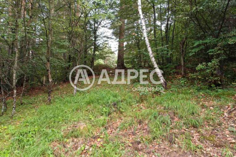 Парцел/Терен, Бойково, 652970, Снимка 2