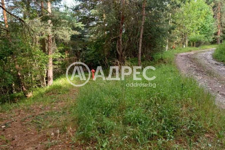 Парцел/Терен, Бойково, 652970, Снимка 3