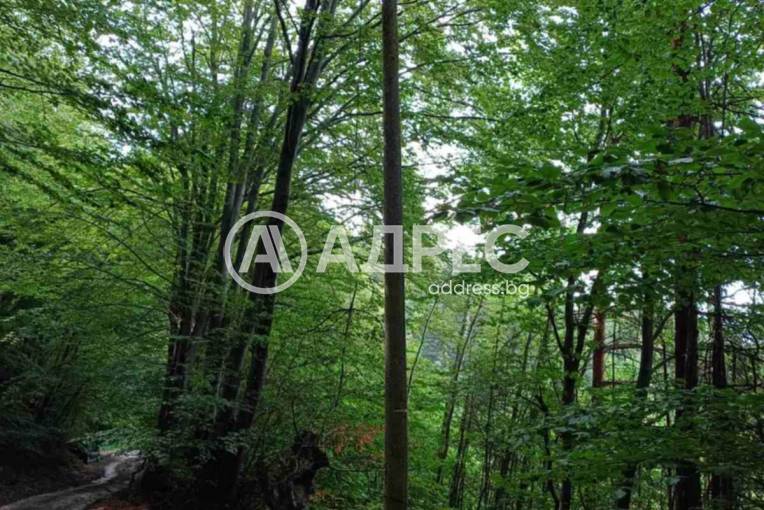 Парцел/Терен, Бойково, 652970, Снимка 5