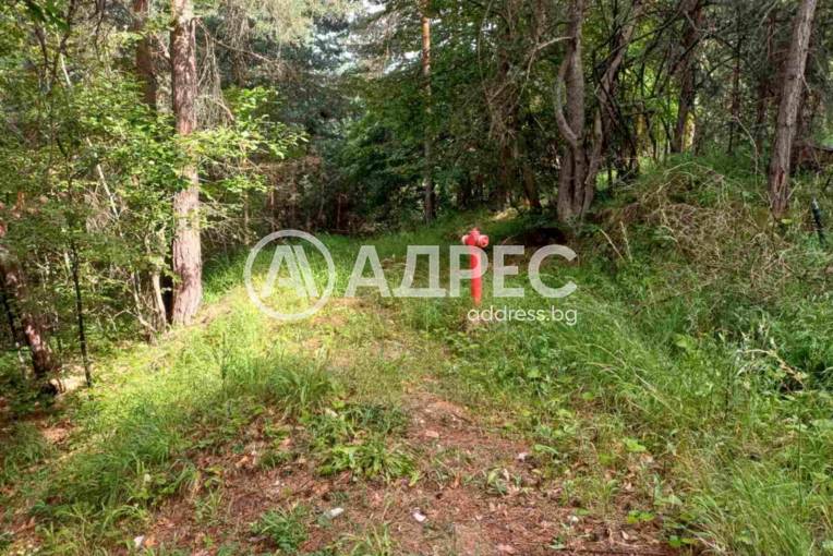 Парцел/Терен, Бойково, 652970, Снимка 6