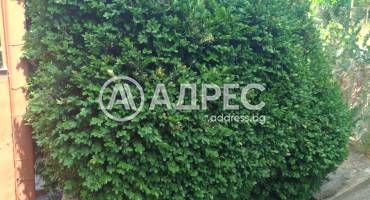 Къща/Вила, Чарган, 659971, Снимка 7