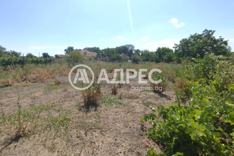 Къща/Вила, Чарган, 659971, Снимка 5