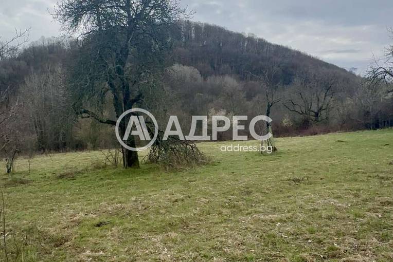 Къща/Вила, Априлци, Ново село - Център, 690975, Снимка 2