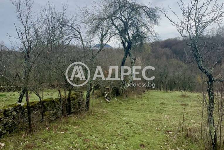 Къща/Вила, Априлци, Ново село - Център, 690975, Снимка 4