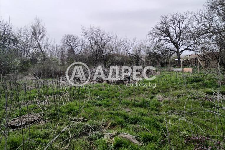 Парцел/Терен, Преславен, 649990, Снимка 2