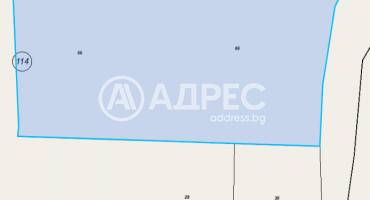 Земеделска земя, Белиш, 673998, Снимка 1