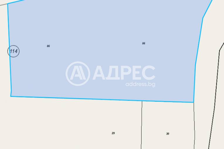 Земеделска земя, Белиш, 673998, Снимка 1