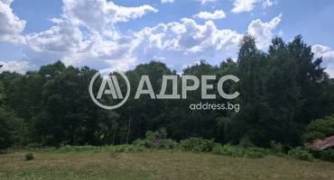 Парцел/Терен, Левочево, 661999, Снимка 5