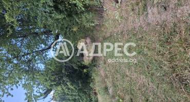 Парцел/Терен, Левочево, 661999, Снимка 6