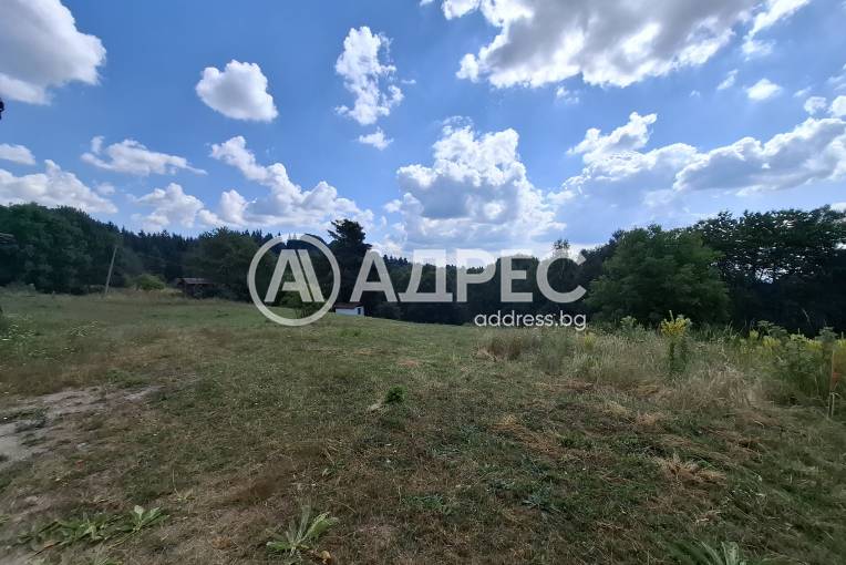 Парцел/Терен, Левочево, 661999, Снимка 1