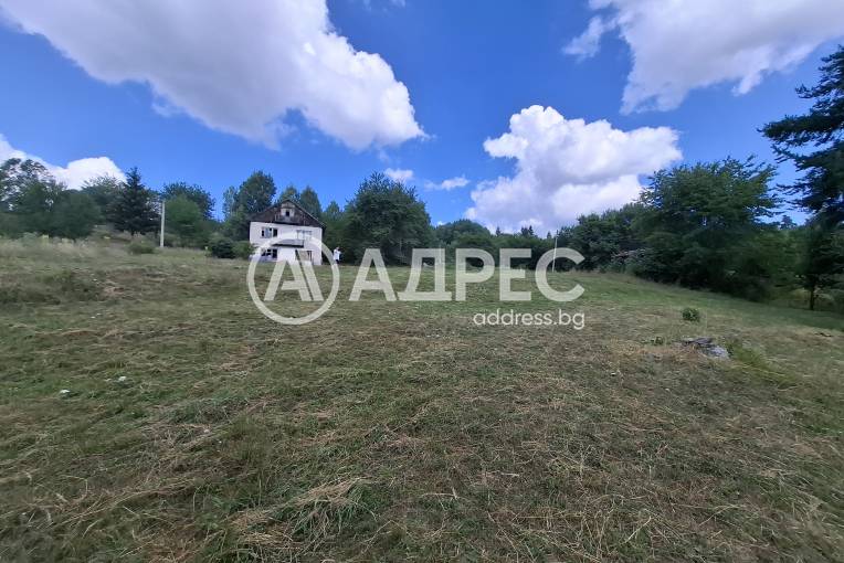 Парцел/Терен, Левочево, 661999, Снимка 3