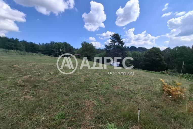 Парцел/Терен, Левочево, 661999, Снимка 4