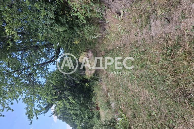 Парцел/Терен, Левочево, 661999, Снимка 6